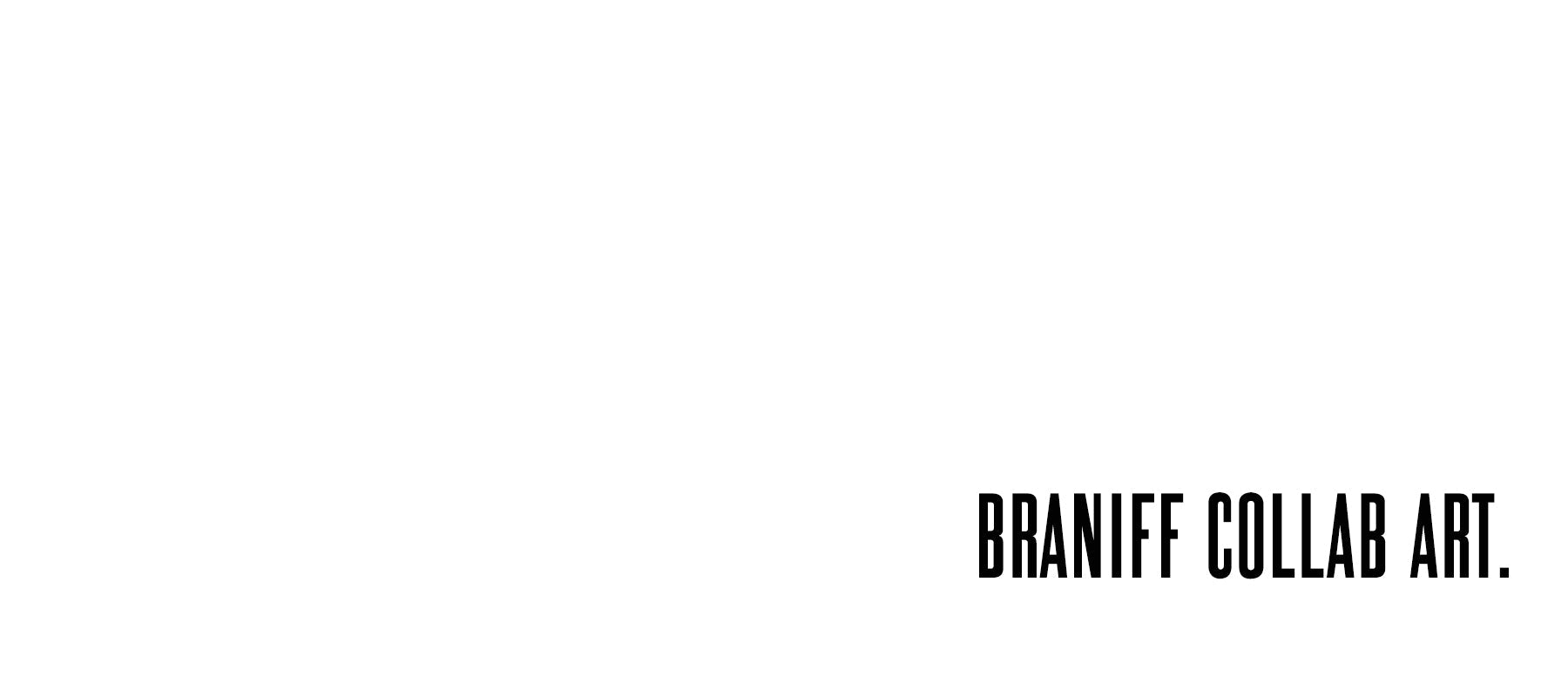 Braniff Art - 08 Left