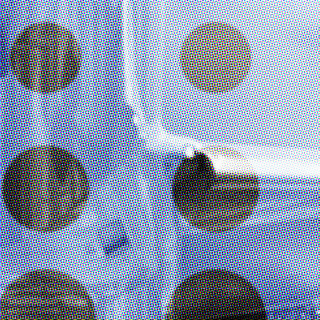 January 2026 Limited Edition