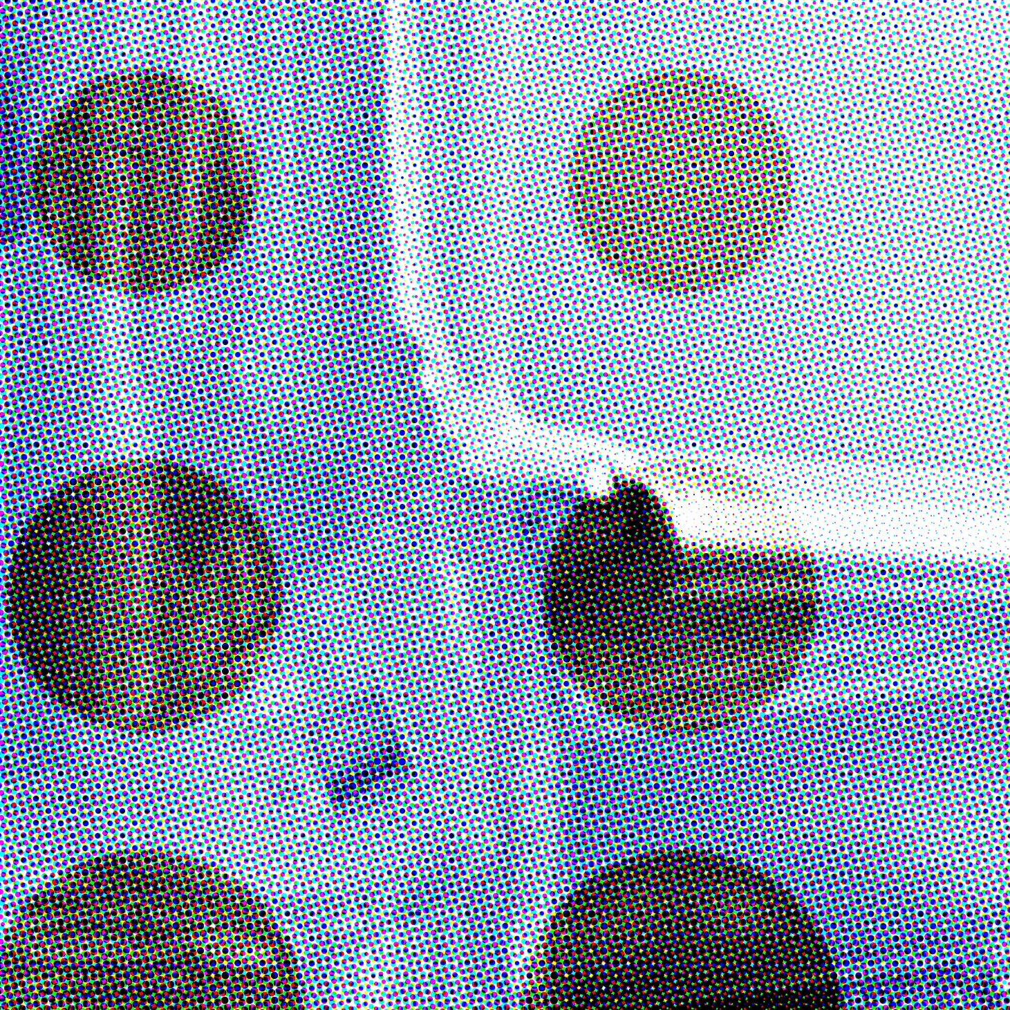 January 2026 Limited Edition