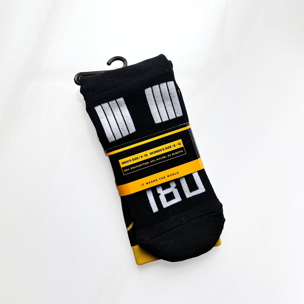 08L Runway Socks (old logo) - 08 Left