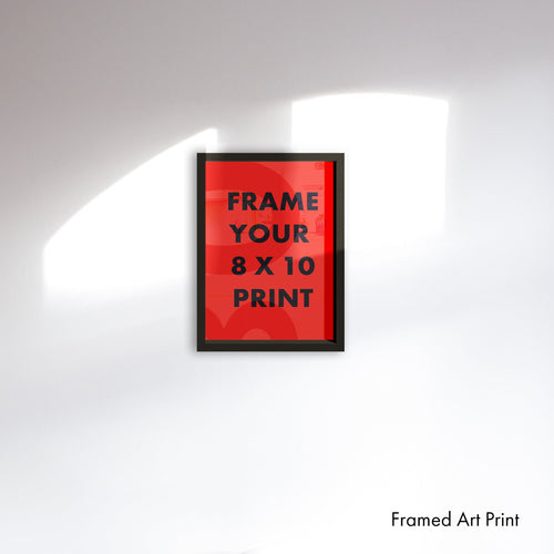 FRAMES - 08 Left