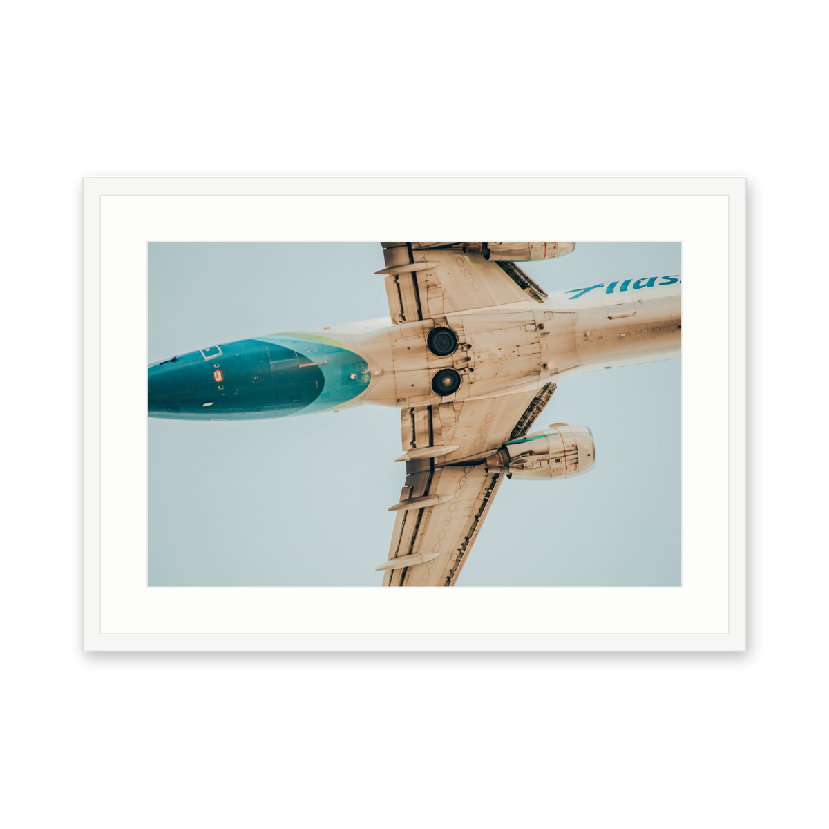 Alaska Belly, framed in white