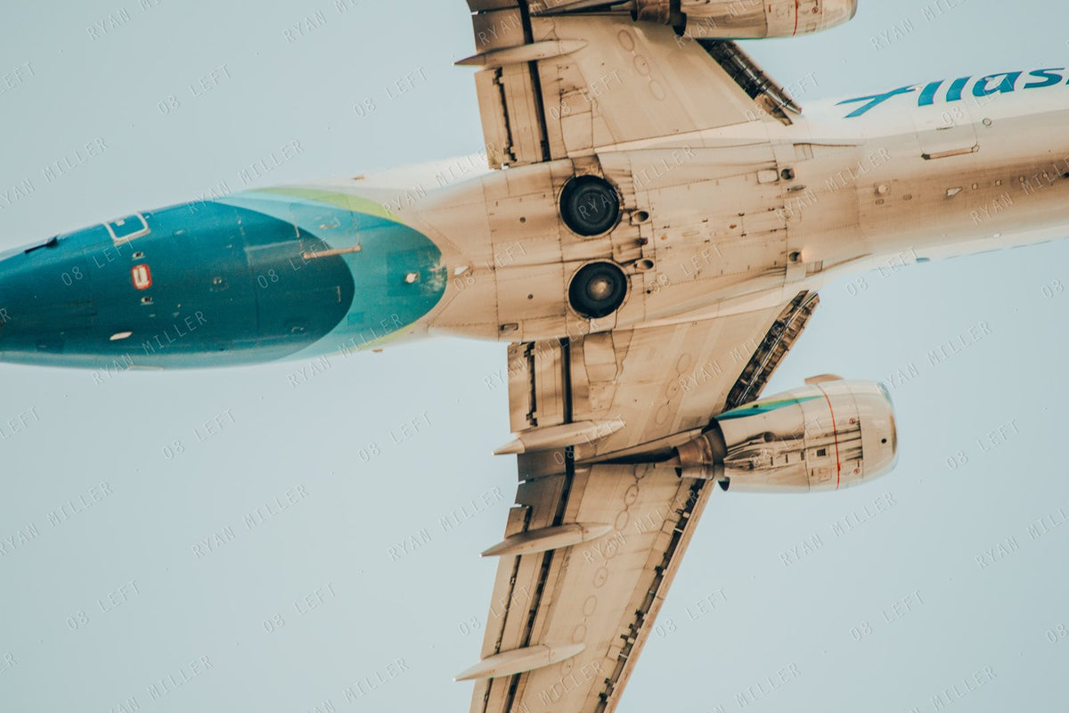Alaska Belly, the photograph (watermarked preview)