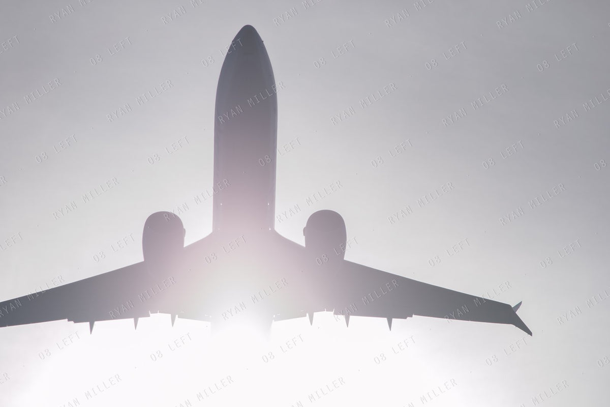 Backlit, the photograph (watermarked preview)