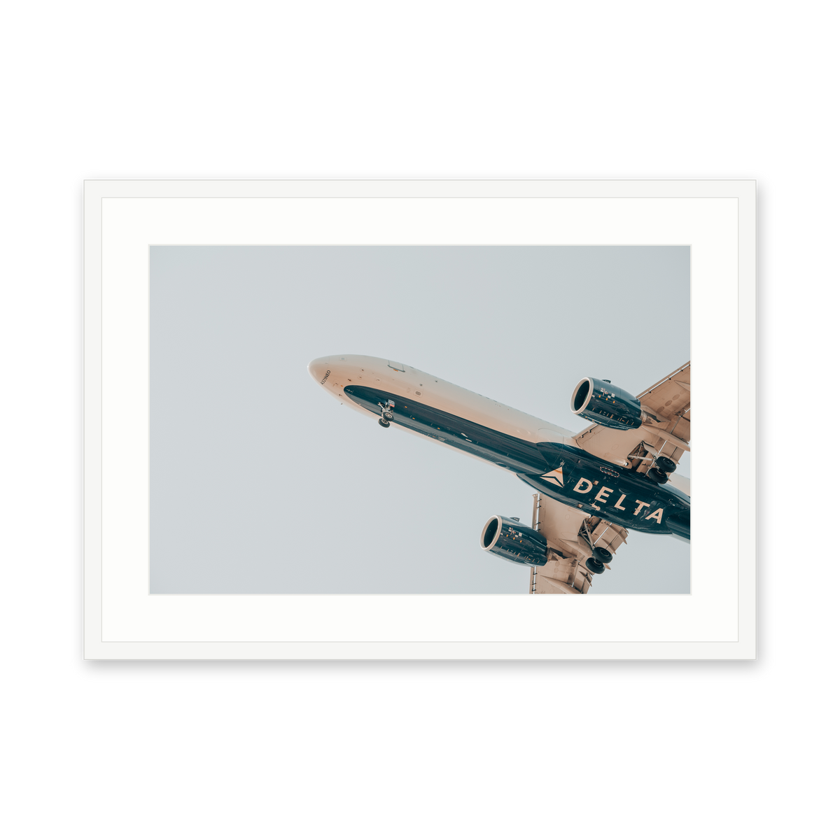 Delta Overhead, framed in white