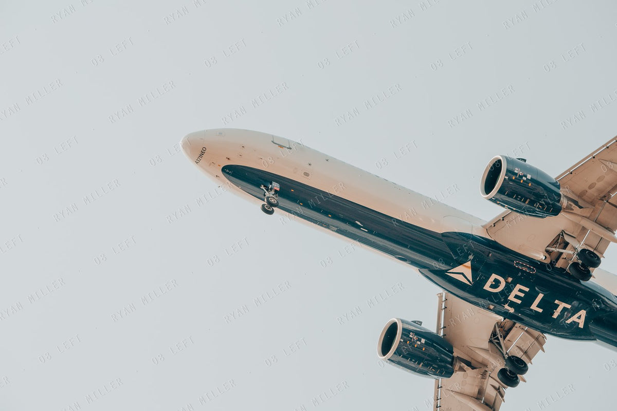 Delta Overhead, the photograph (watermarked preview)