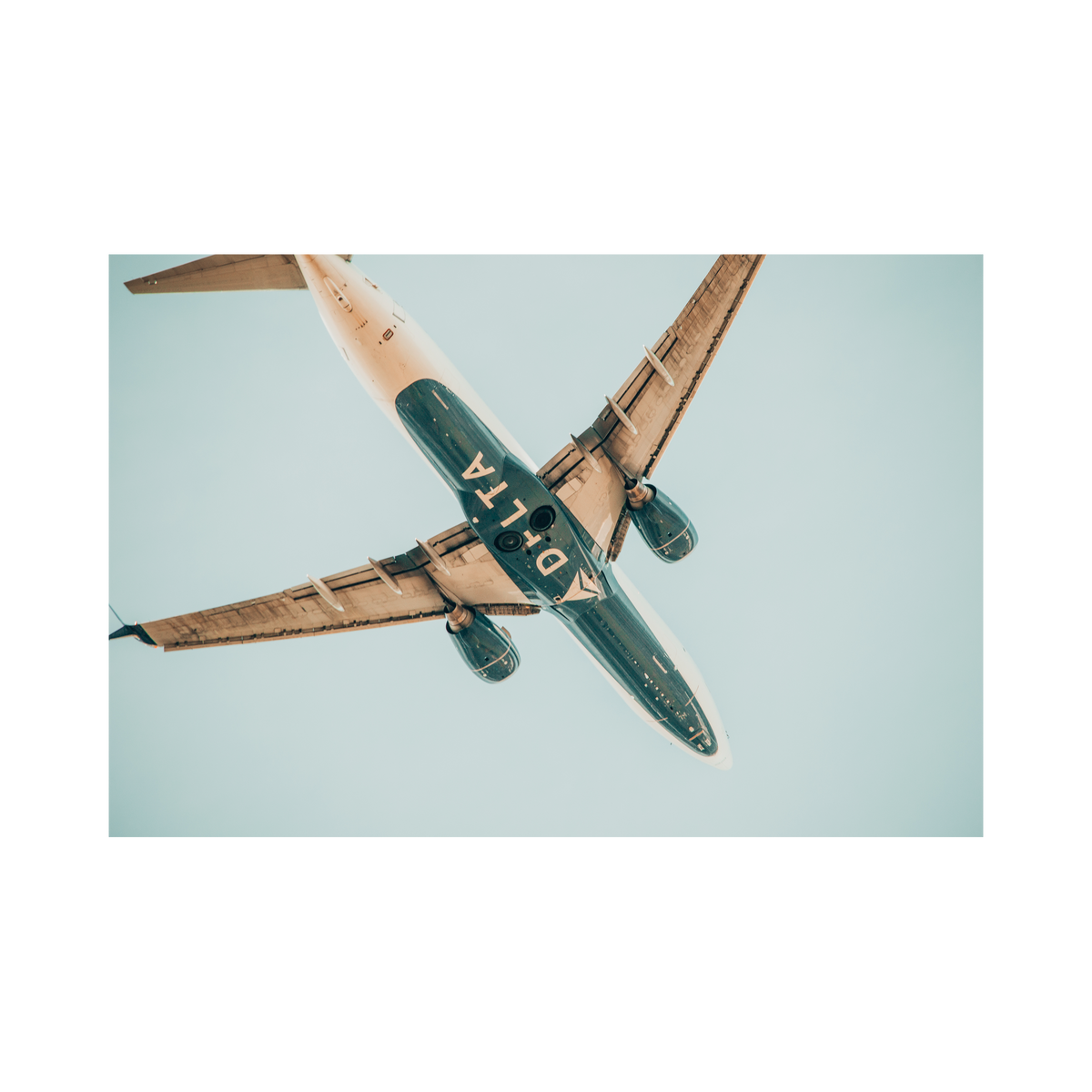 Delta Underside, the photograph
