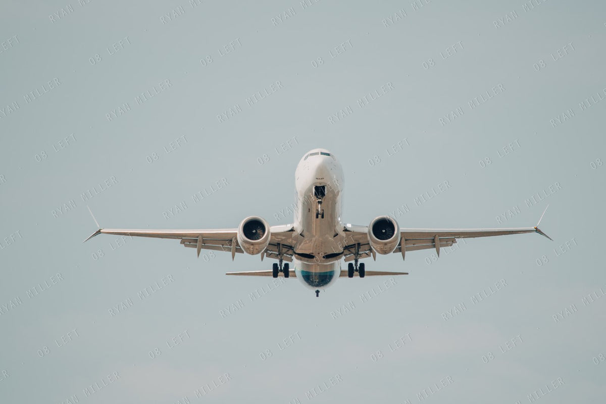 Head On, the photograph (watermarked preview)