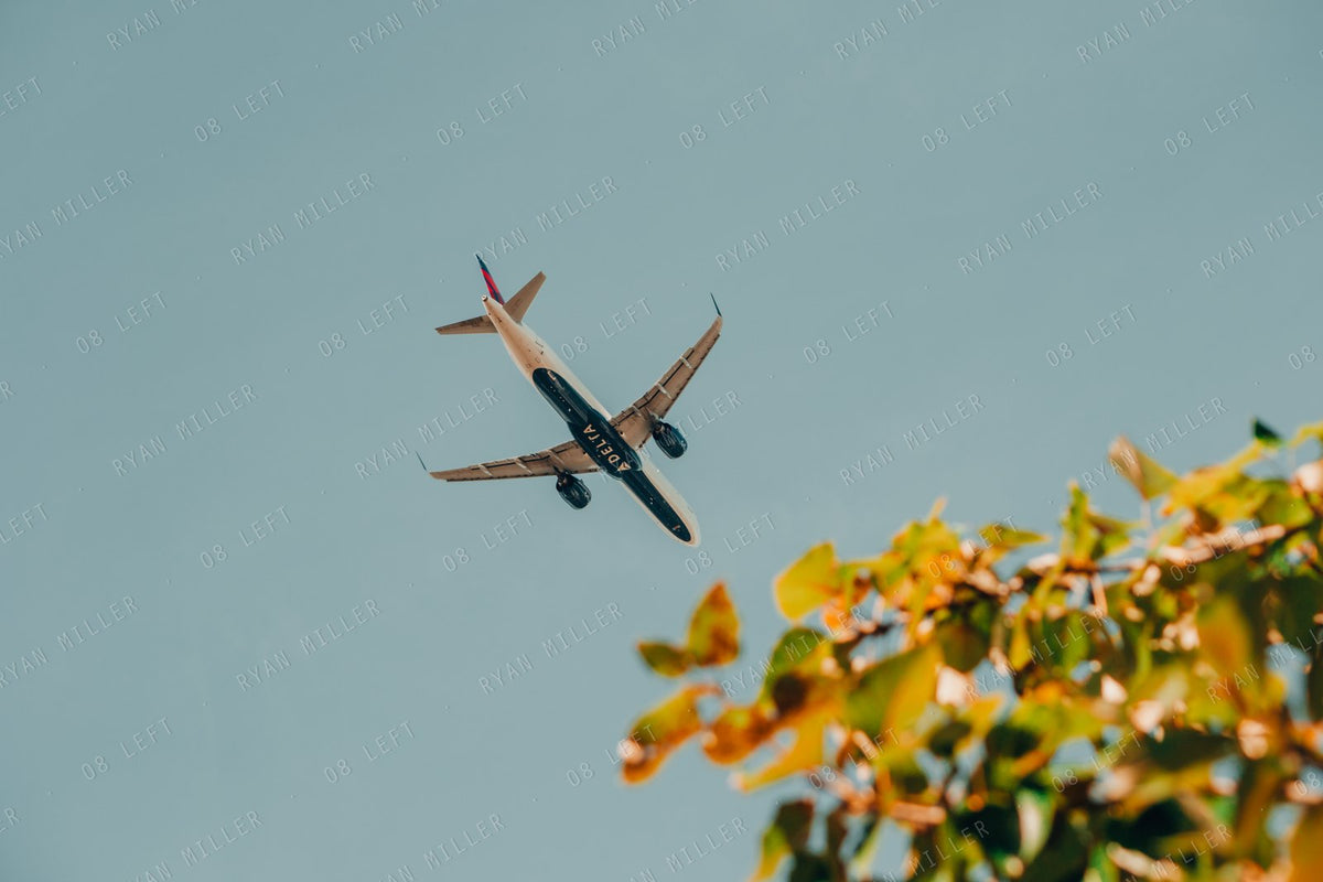 October Departure, the photograph (watermarked preview)
