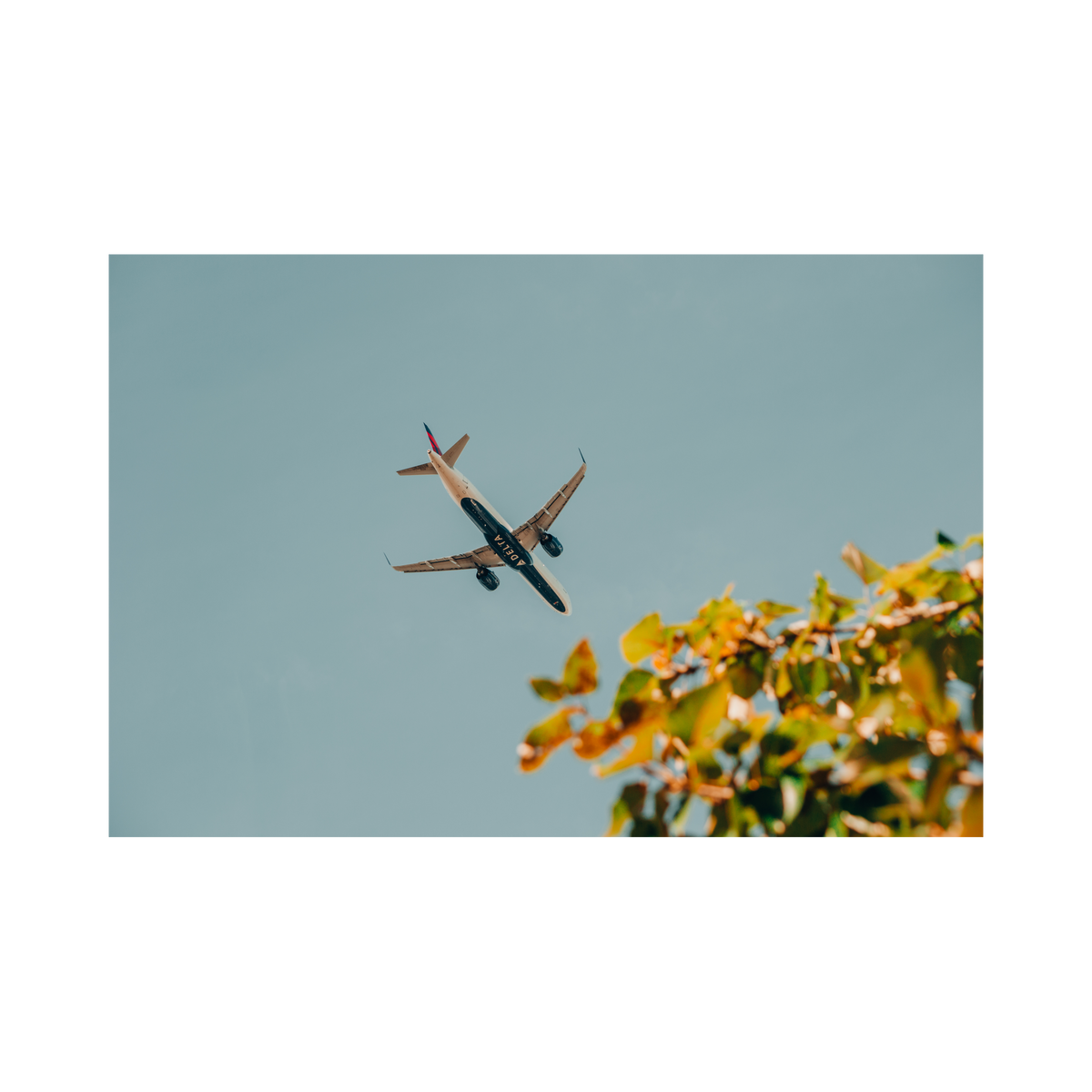 October Departure, the photograph