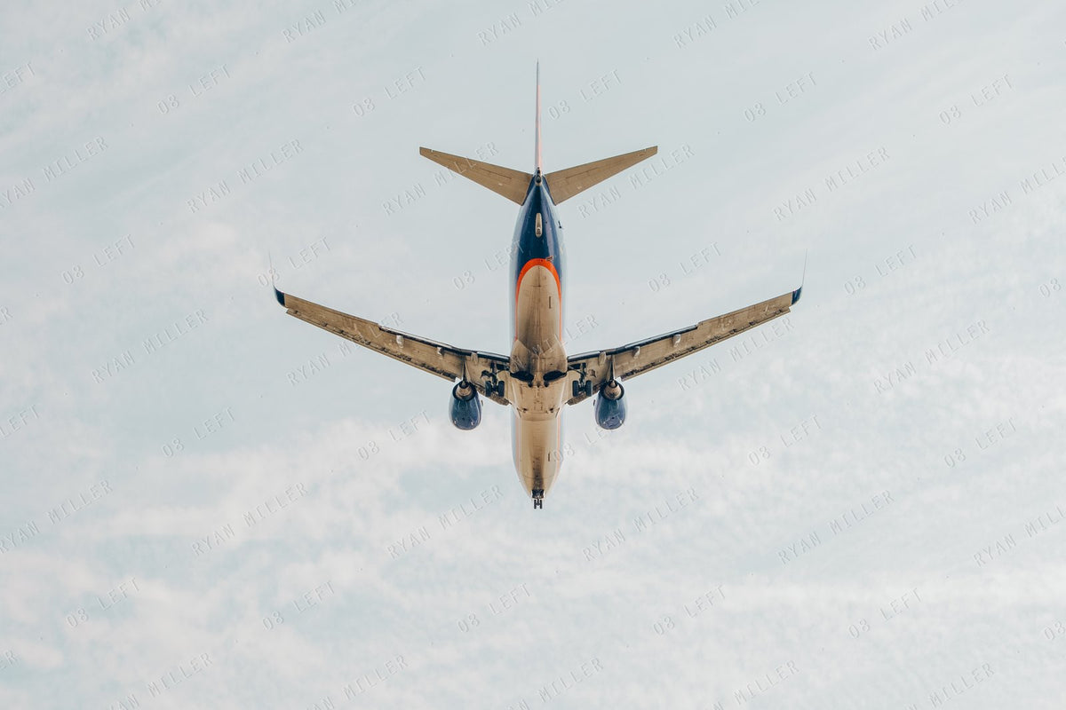 Overhead, the photograph (watermarked preview)