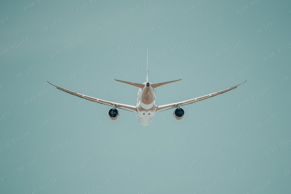Tail On, the photograph (watermarked preview)