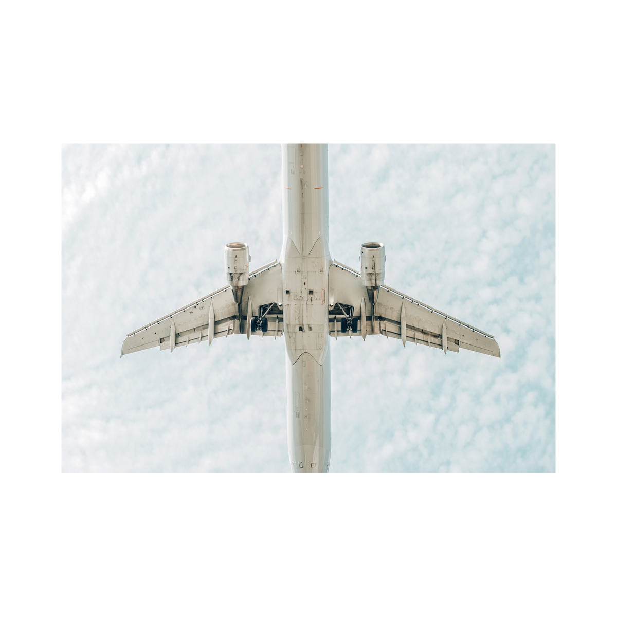 Underside, the photograph