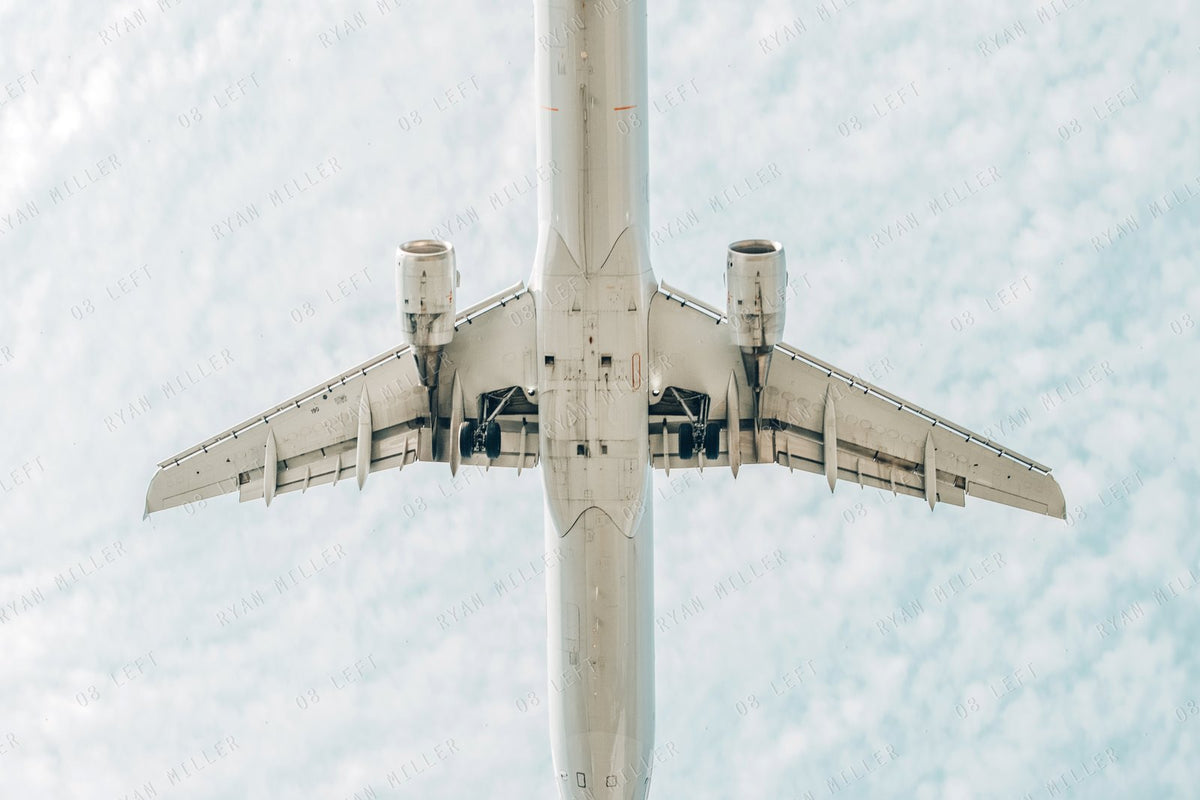 Underside, the photograph (watermarked preview)