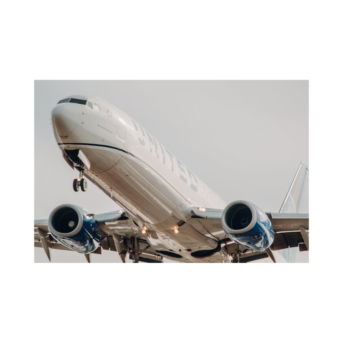 United Up Close, the photograph